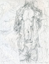 Load image into Gallery viewer, 9642335