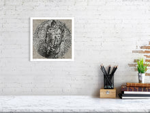 Load image into Gallery viewer, 2761973-4086935