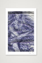 Load image into Gallery viewer, Squid — 40×60cm, 16×24" Print only