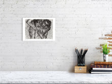 Load image into Gallery viewer, 8447337-3028299