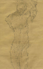 Load image into Gallery viewer, 9642370