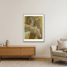 Load image into Gallery viewer, Wisconsin — 60×80cm, 24×31" Oak Frame