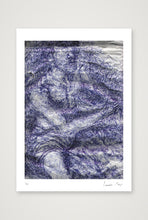 Load image into Gallery viewer, Squid — A4 (21×30cm, 8×12") Print only